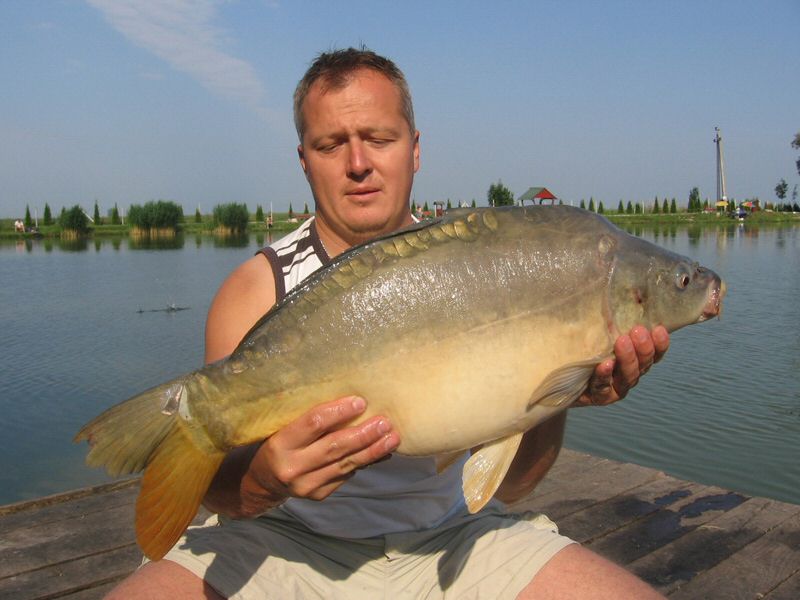halak 1561.jpg